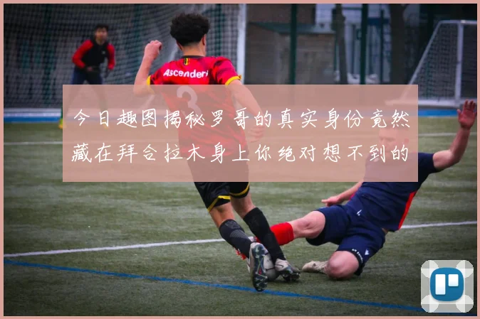 今日趣图揭秘罗哥的真实身份竟然藏在拜合拉木身上你绝对想不到的真相