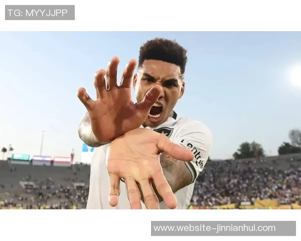 埃弗顿冬季转会瞄准博塔弗戈右后卫维蒂尼奥加强阵容