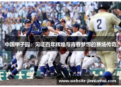 中国甲子园：见证百年辉煌与青春梦想的赛场传奇