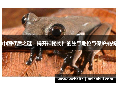 中国蛙后之谜：揭开神秘物种的生态地位与保护挑战